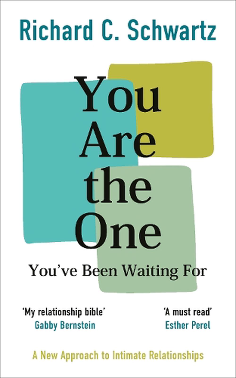 You Are The One Youve Been Waiting For By Richard Schwartz Paperback