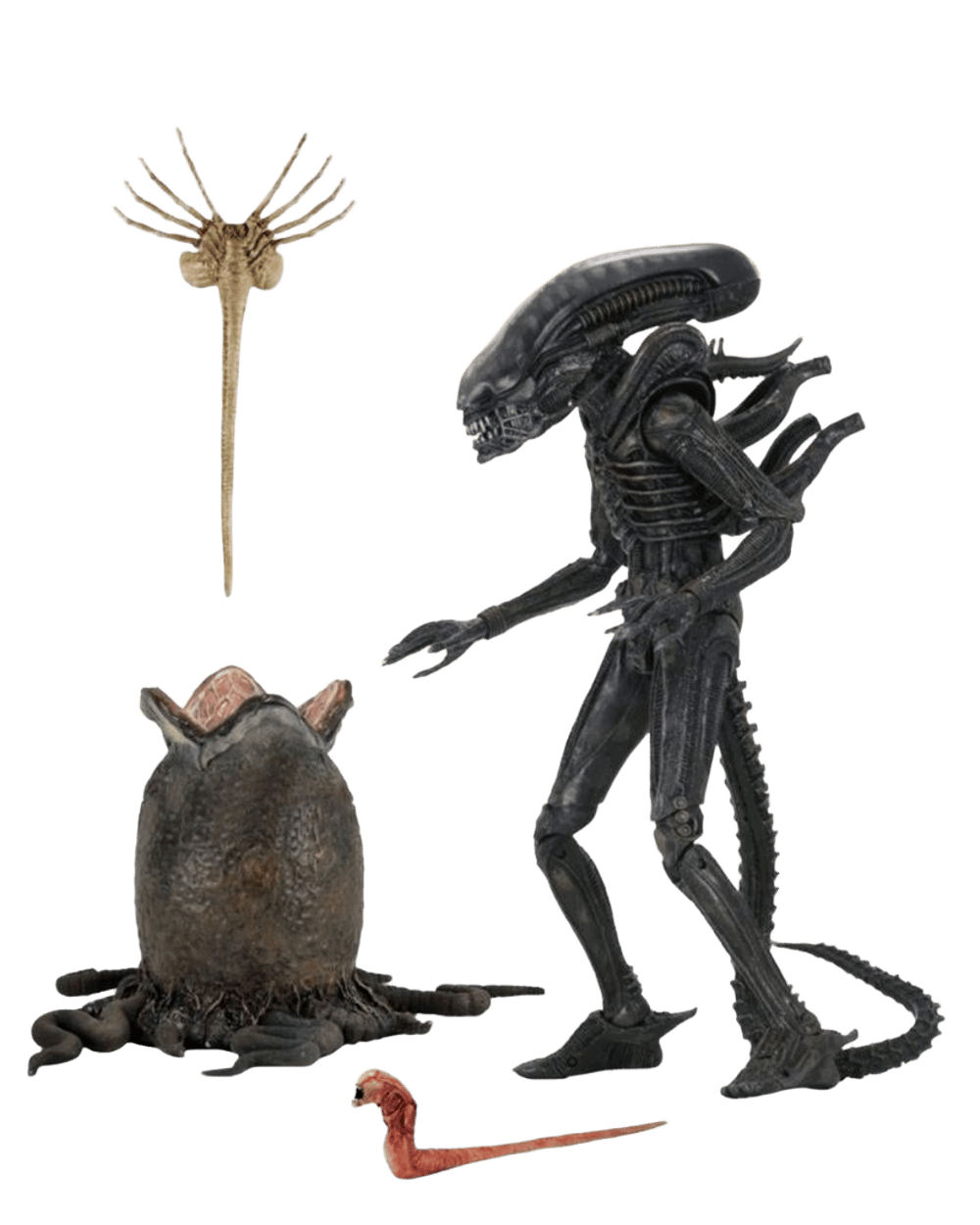 NECA Alien - Big Chap Ultimate Scale Action Figure - 7 Inch by NECA - ISBN: 0634482516461