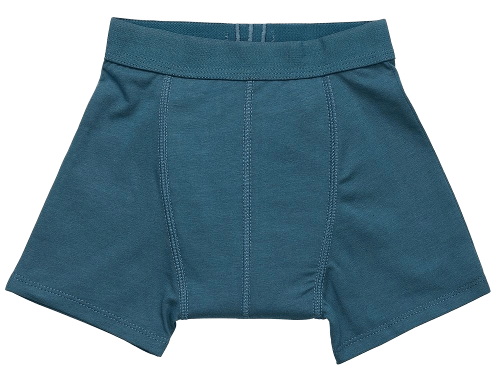 Snazzi Pants Night Trainers (Midnight) - 3-4 Years by Snazzi Pants - ISBN: 0781005396120