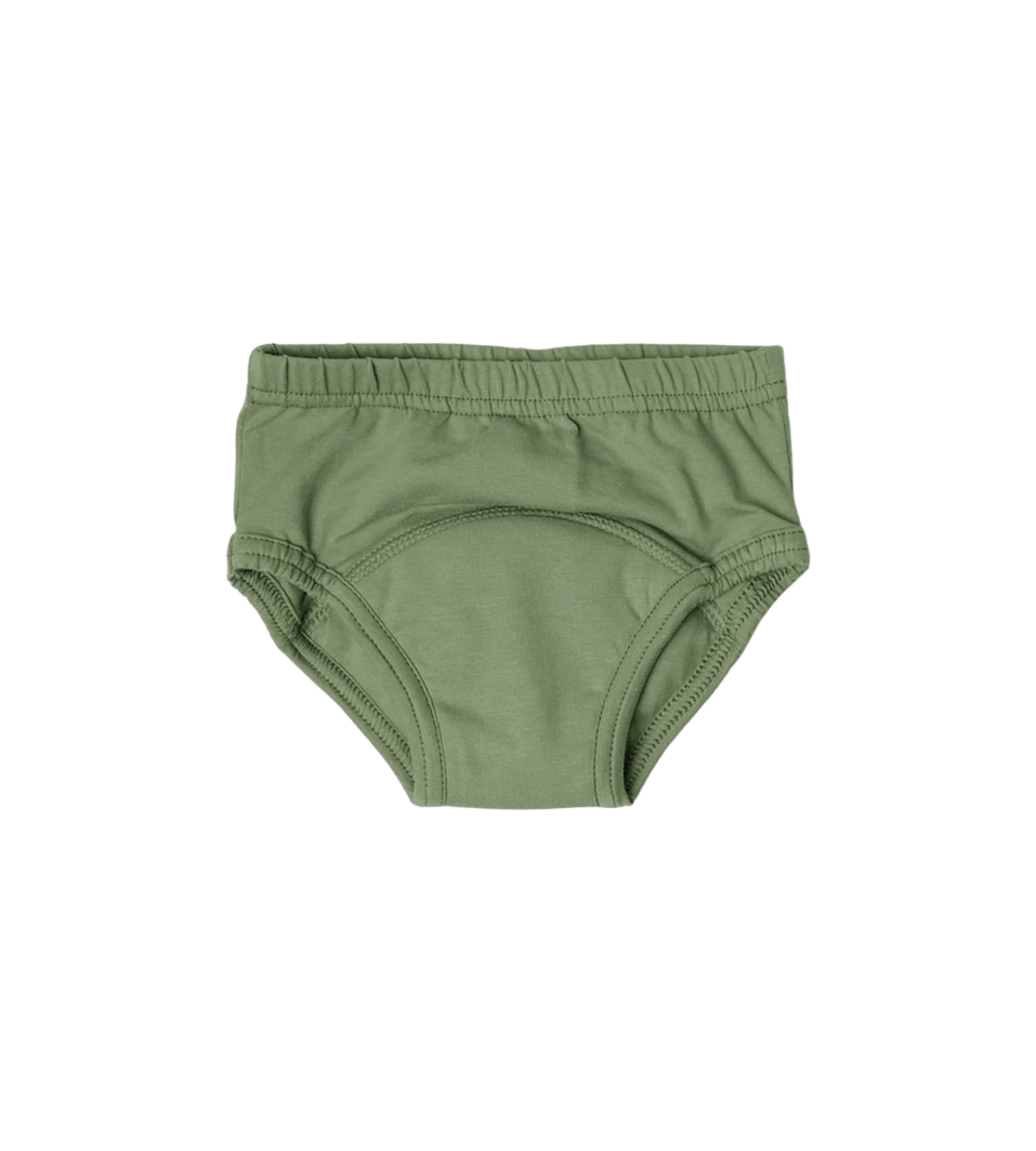 Brolly Sheets Snazzi Pants Day Trainers (Sprout) - 2-3 Years by Brolly Sheets - ISBN: 0796548476420