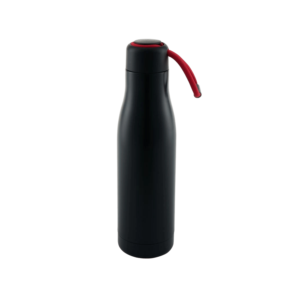 Avanti HydroSwig Insualted Water Bottle (Black) - 750mL by Avanti - ISBN: 9313803144019