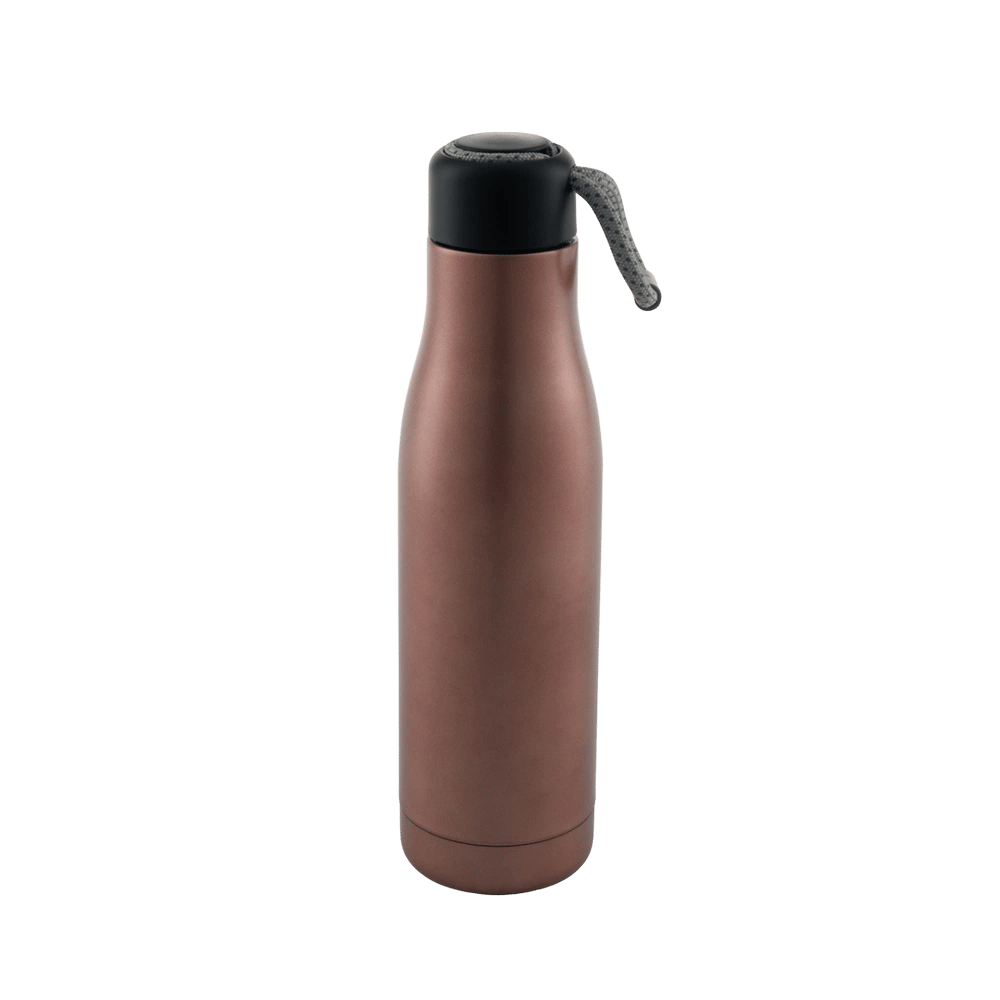 Avanti HydroSwig Insualted Water Bottle (Rose Gold) - 750mL by Avanti - ISBN: 9313803144057