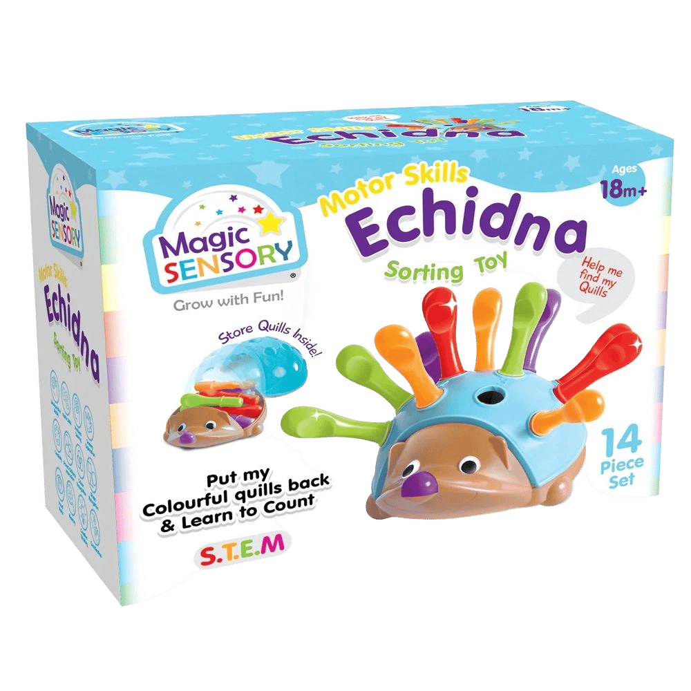 Magic Sensory Fine Motor Skills - Echidna by Magic Sensory - ISBN: 9350375016665