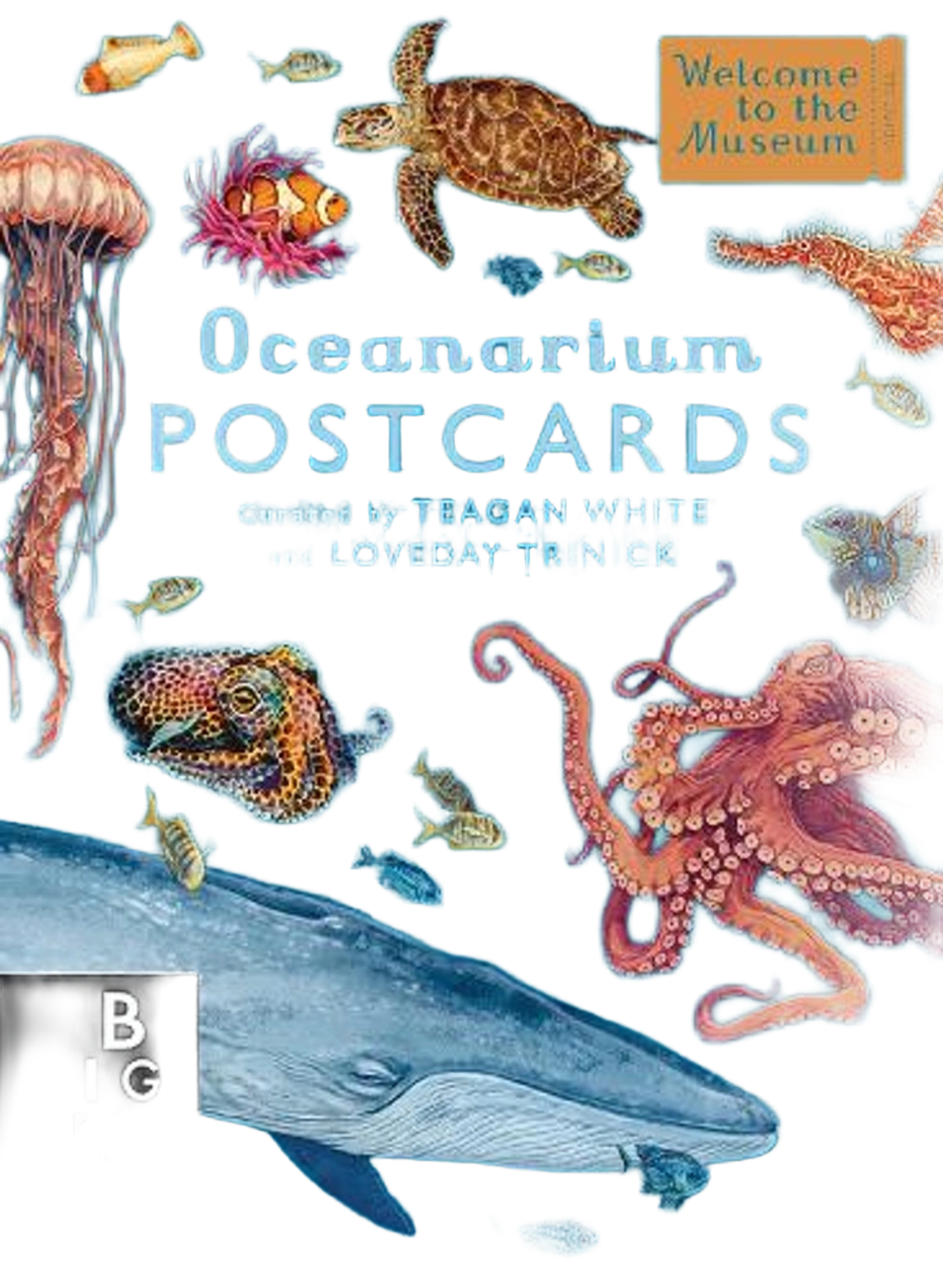 Oceanarium Postcard Box Set by Loveday Trinick - ISBN: 9781536241150