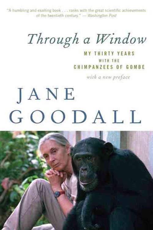 through a window comparison of chimpanzees through a window comparison of chimpanzees