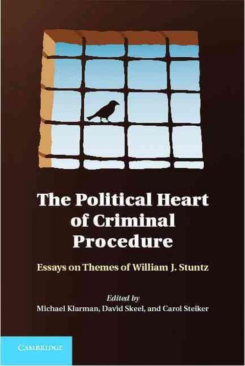 political process essays political process essays