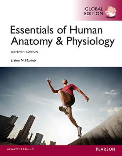 Essentials Of Human Anatomy & Physiology By Elaine N. Marieb, Paperback ...