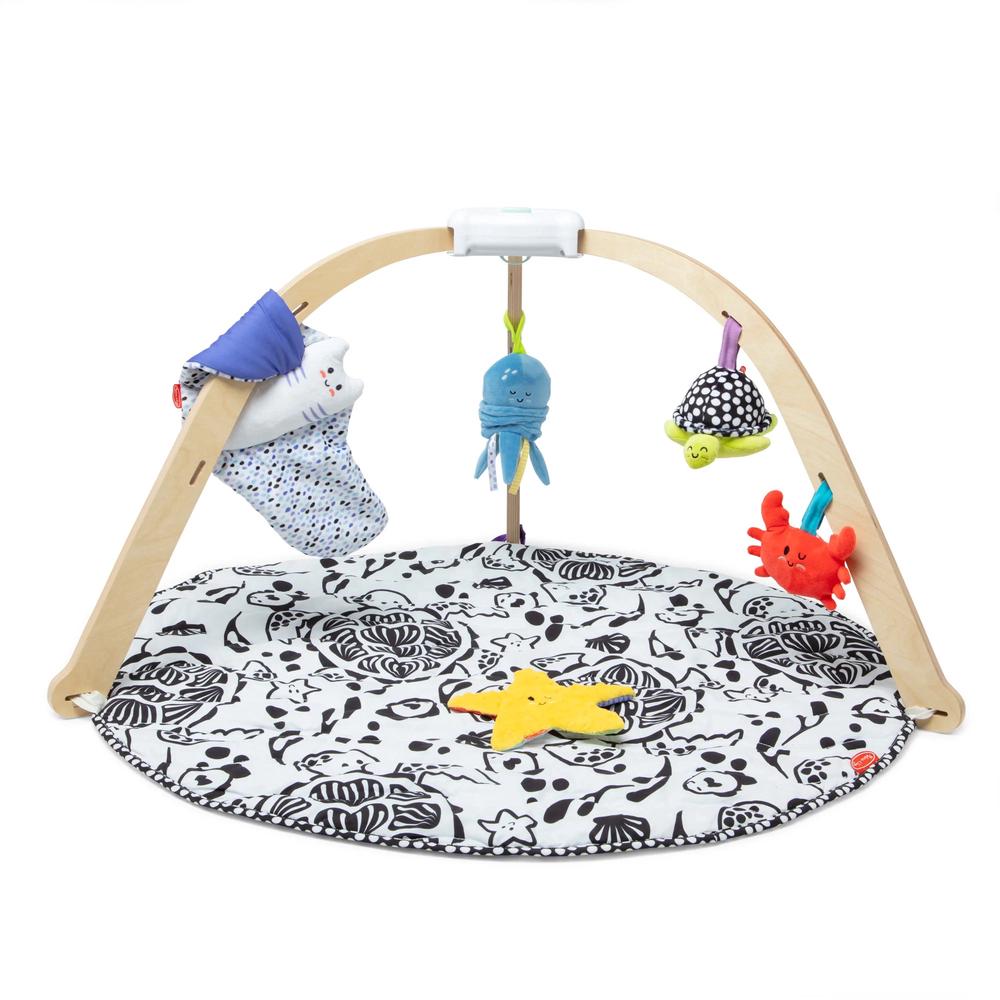 Melissa & Doug Ocean Oasis Easy Fold Play Gym, 0000772307598