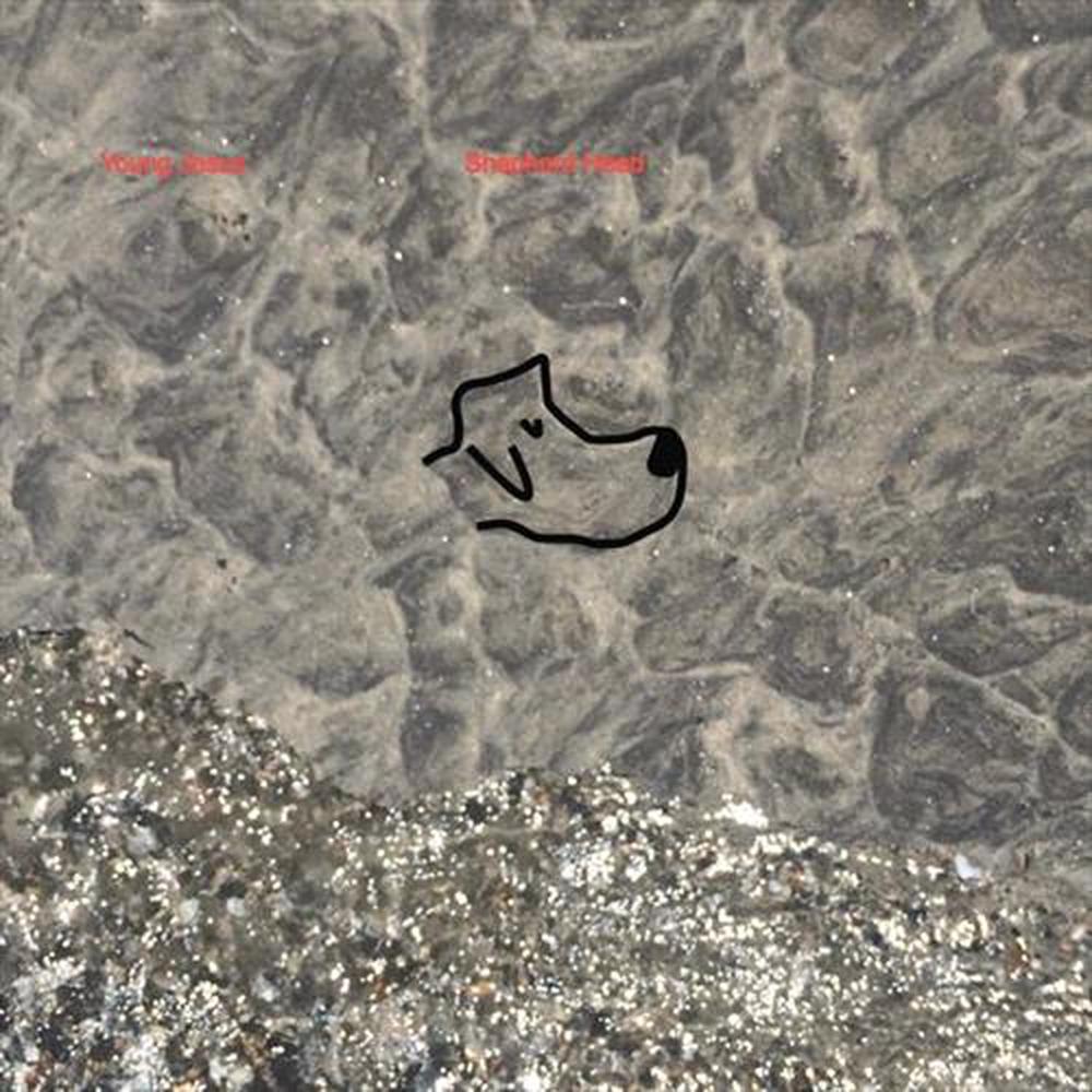 Reasons, 0016351549921