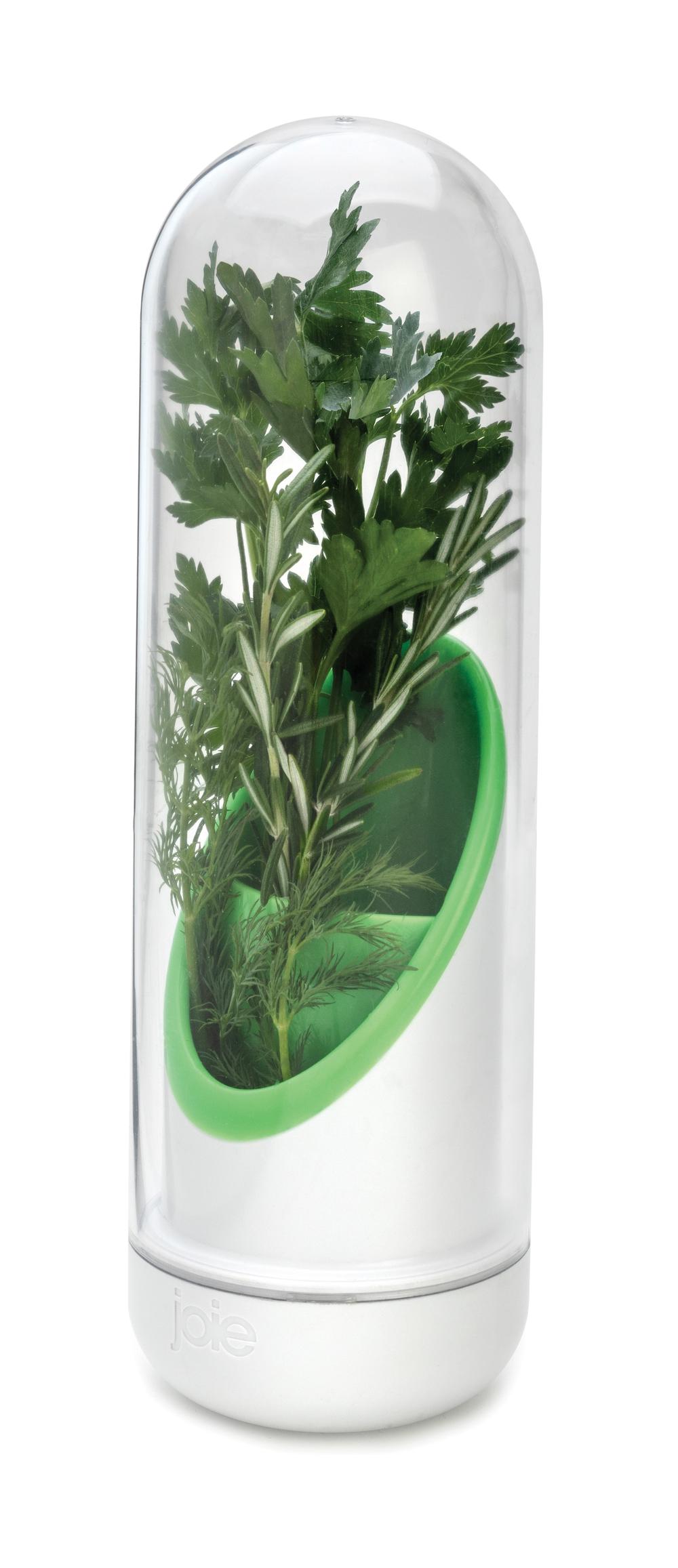 Joie Herb Pod (White/Green) - 9.2x9.2x9.7, 0067742320223