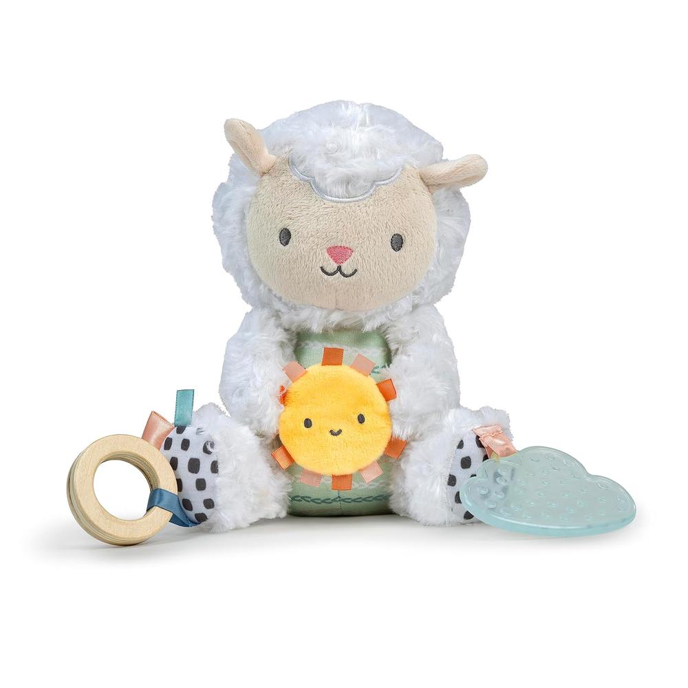 Character Teething Activity Toy, 0074451166615