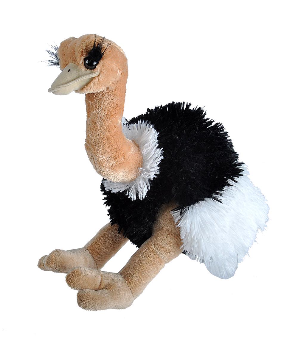 Wild Republic Cuddlekins Ostrich Plush Toy | Buy online at The Nile