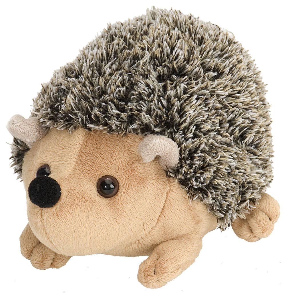 Wild Republic Cuddlekins Mini Hedgehog - 8 Inch | Buy online at The Nile