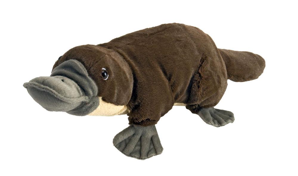 Wild Republic Cuddlekins Platypus - 12 Inch, 0092389134599