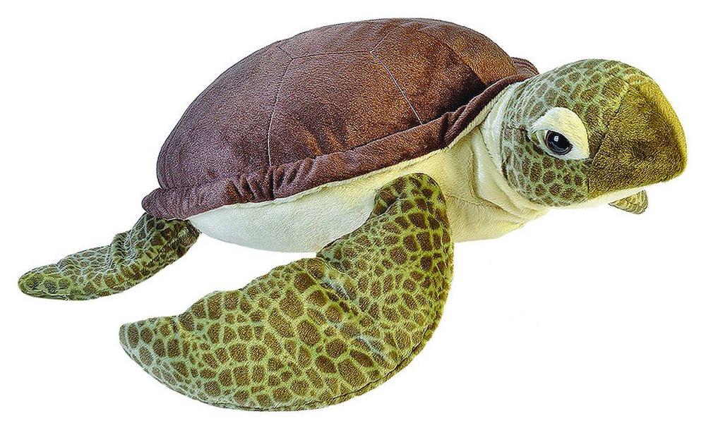 Wild Republic Cuddlekins Jumbo (Sea Turtle) | Buy online at The Nile