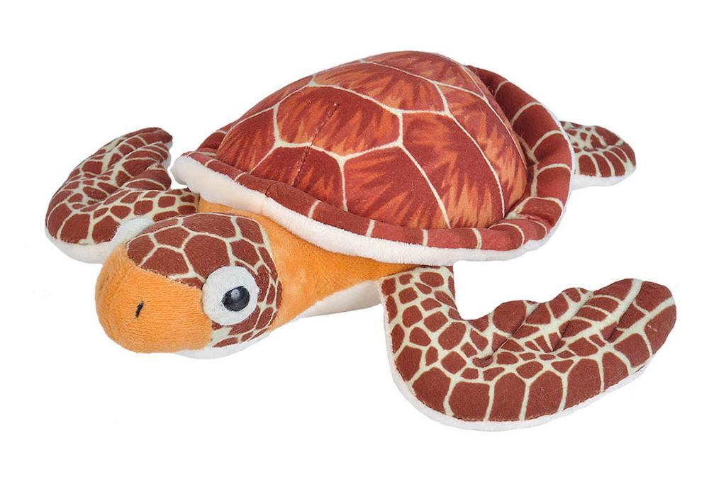 Cuddlekins Stuffed Animal (Loggerhead Sea Turtle) 8 Inches Buy