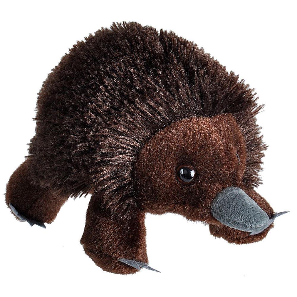 Wild Republic Hug Ems Plush Toy - Echidna | Buy online at The Nile