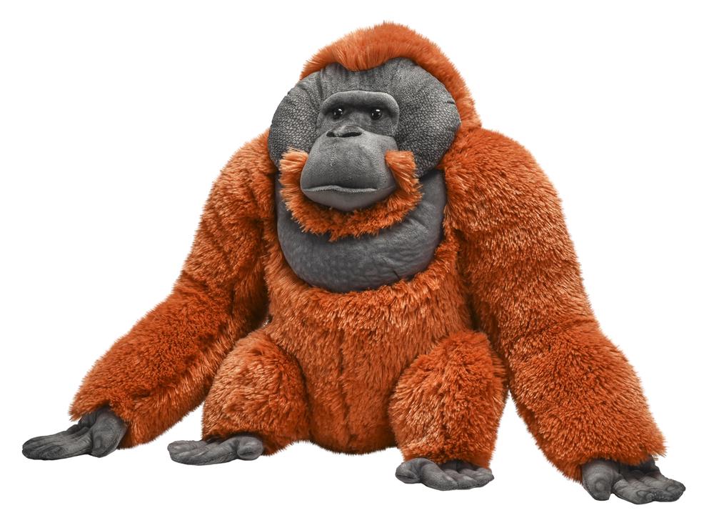 Wild Republic Artist - Orangutan Male - 15 Inch, 0092389274271