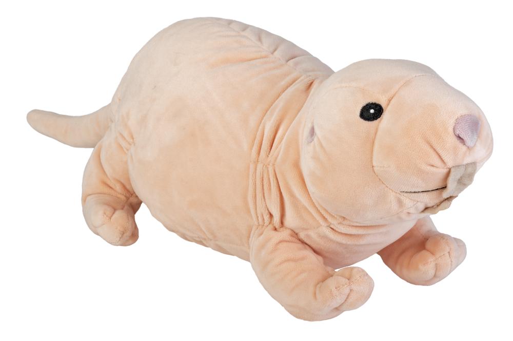 Wild Republic Ck Eco Nake Mole Rat - 12 Inch, 0092389293142