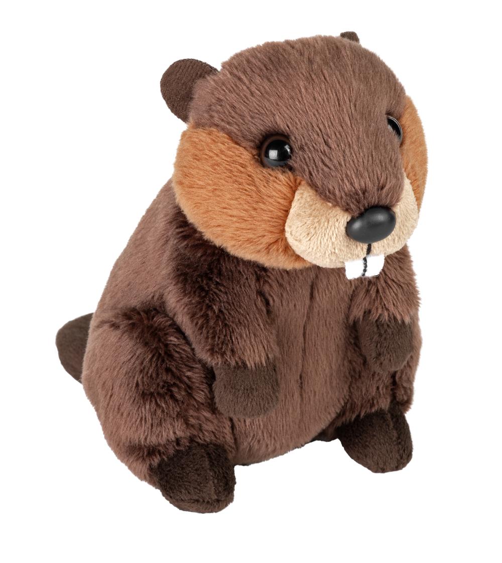 Wild Republic Pocketkins Eco Beaver - 5 Inch, 0092389293456