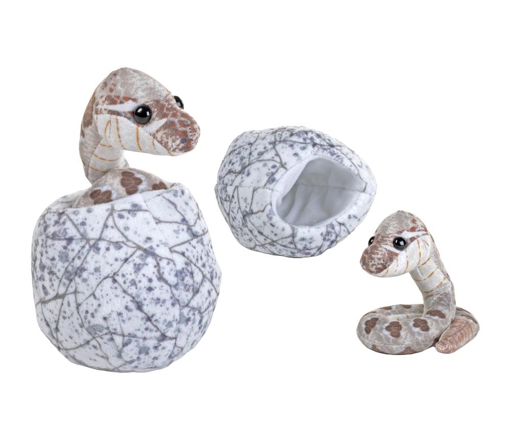 Hatchling Snake, 0092389297560
