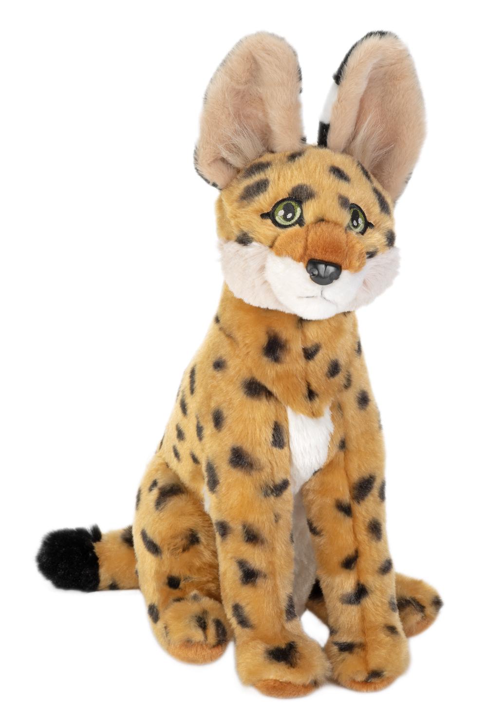 Ck Eco Serval - 12 Inch, 0092389297768