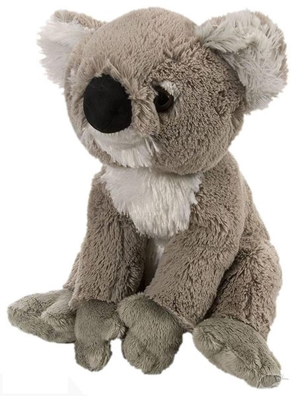 Wild best sale republic koala