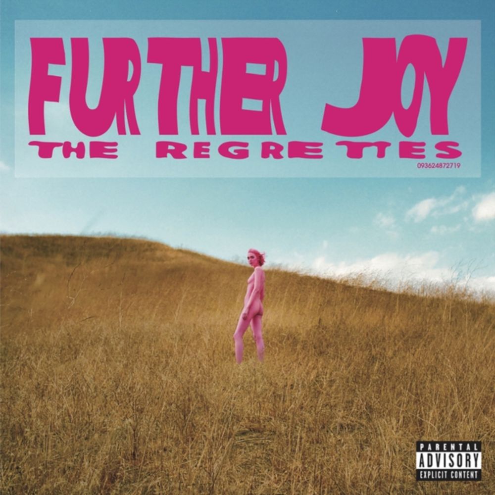 Further Joy - ISBN: 0093624872719