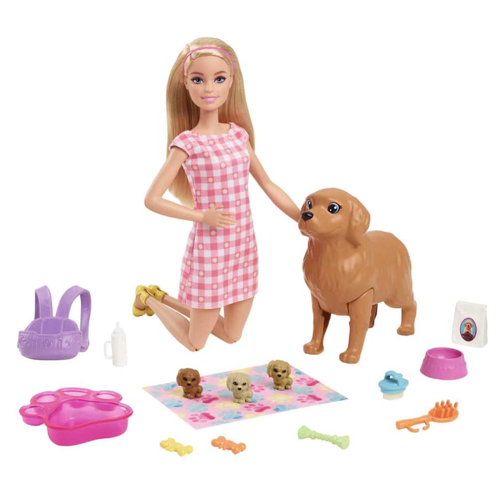 Barbie Doll and Pets Playset | Buy online at The Nile