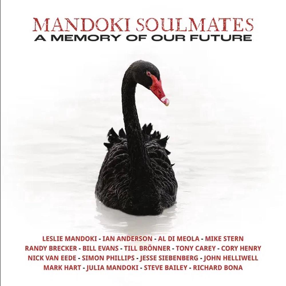 A Memory of Our Future Vinyl - ISBN: 0196588768811