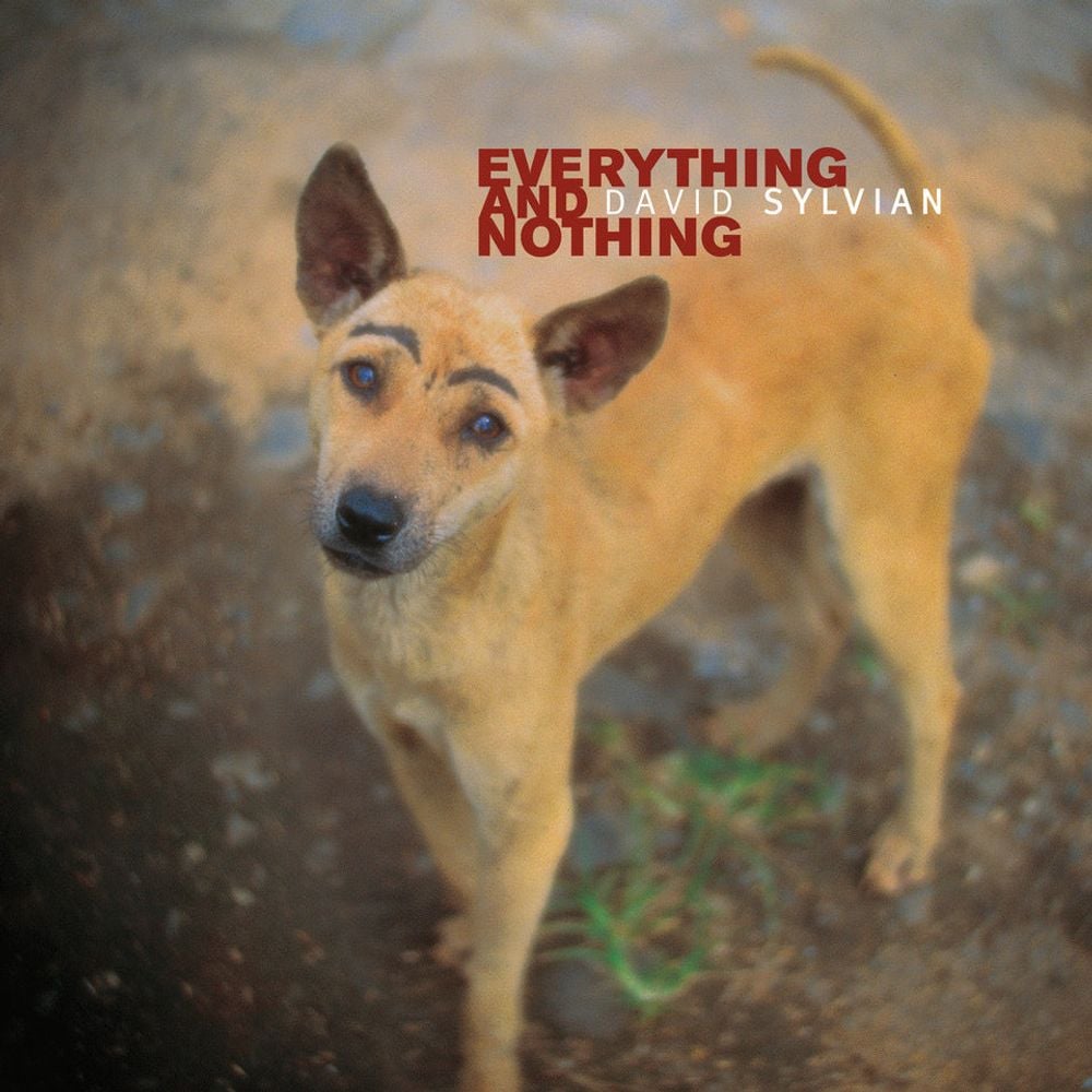 Everything and Nothing (Box Set) - ISBN: 0602465048575