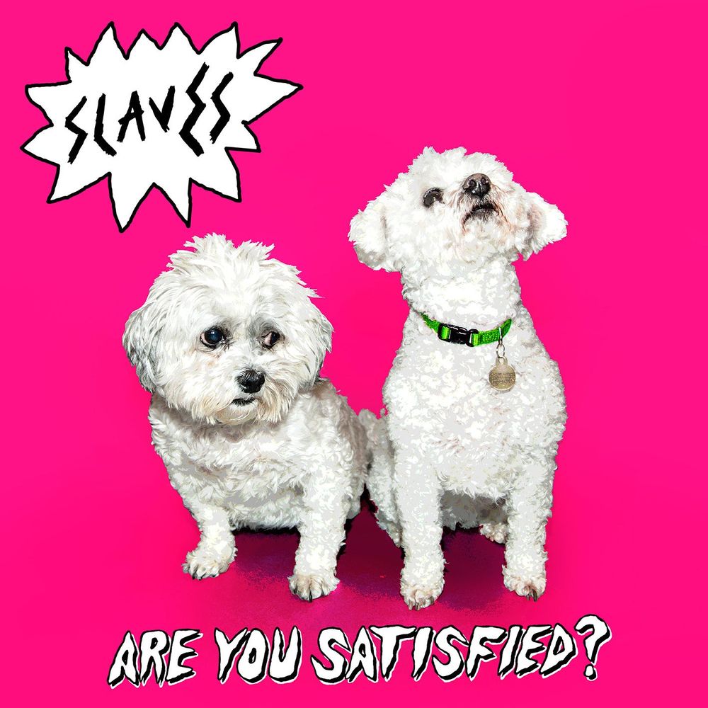 Are You Satisfied? (10th Anniversary Edition) - ISBN: 0602478163708