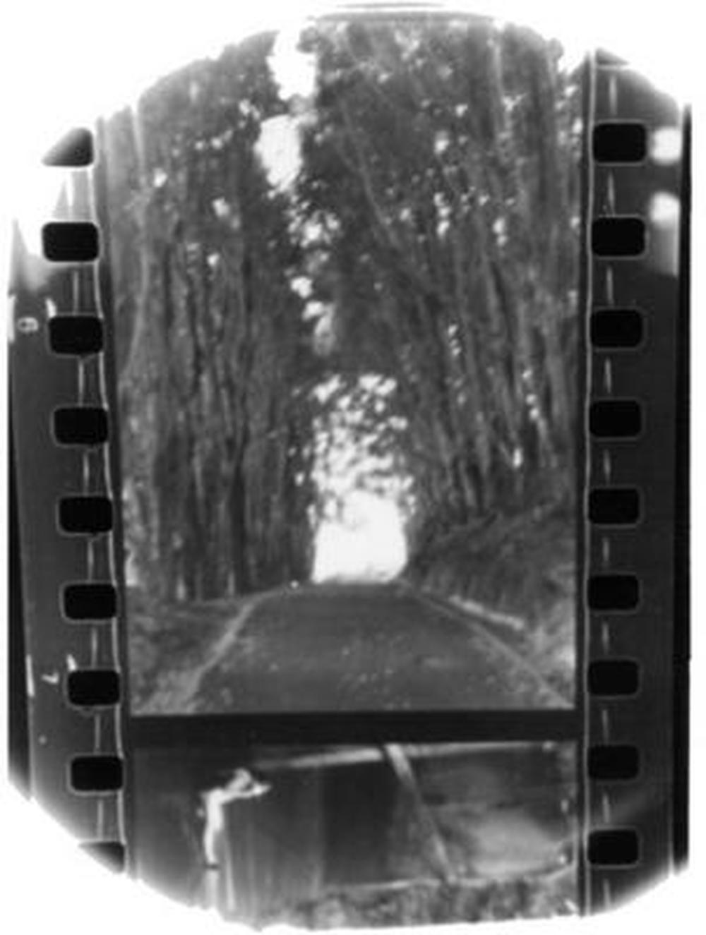 Winter Forever, 0603111937717