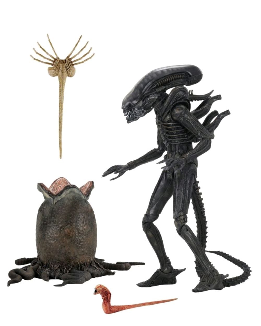NECA Alien - Big Chap Ultimate Scale Action Figure - 7 Inch by NECA - ISBN: 0634482516461