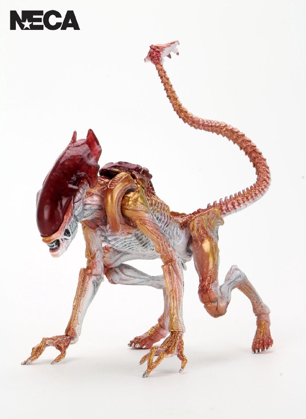 NECA Aliens Kenner Tribute Action Figure (Panther) - 7 Inch, 0634482517154