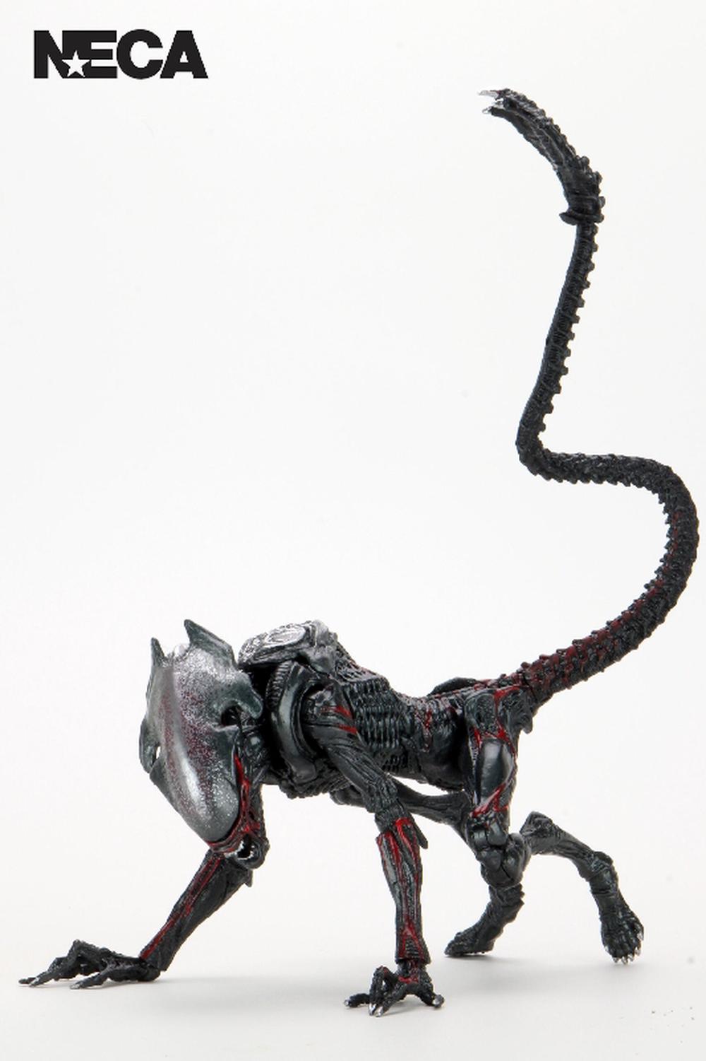 NECA Aliens Kenner Tribute Action Figure (Night Cougar) - 7 Inch, 0634482517161