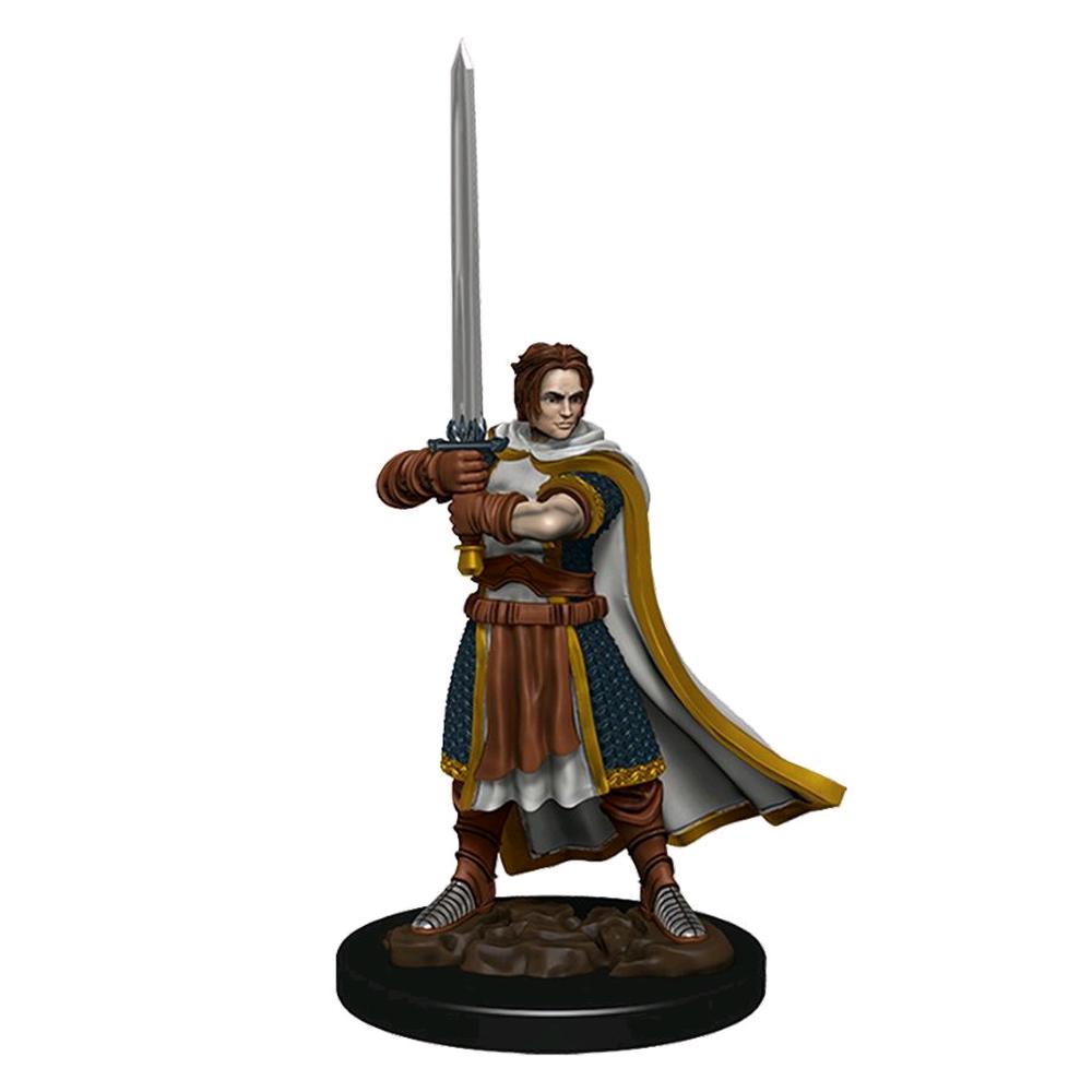 Dungeons & Dragons - Premium Human Fighter Male Miniature, 0634482930236