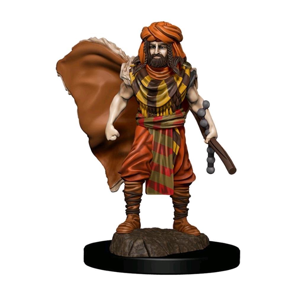 Dungeons & Dragons - Premium Human Druid Male Miniature, 0634482930311