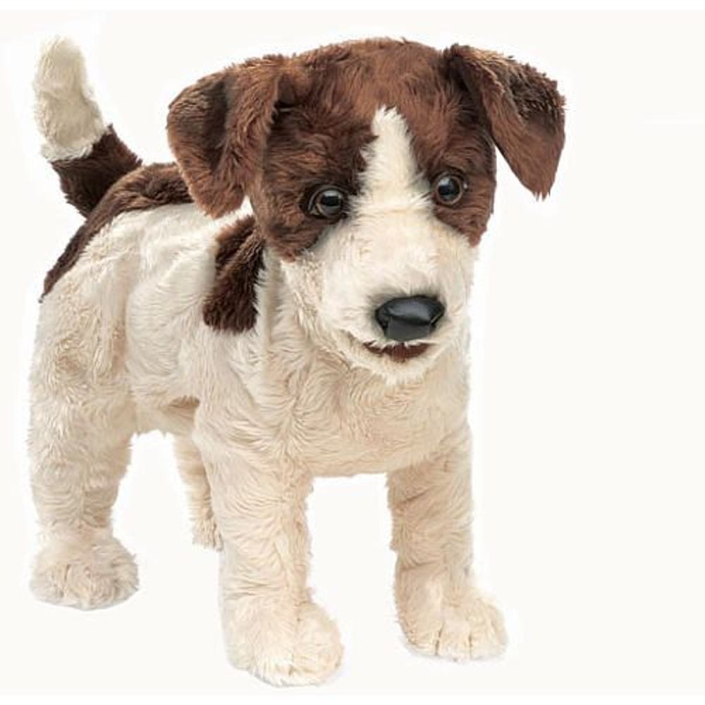 Folkmanis Jack Russell Terrier Hand Puppet, Smooth Coat by Folkmanis - ISBN: 0638348028488