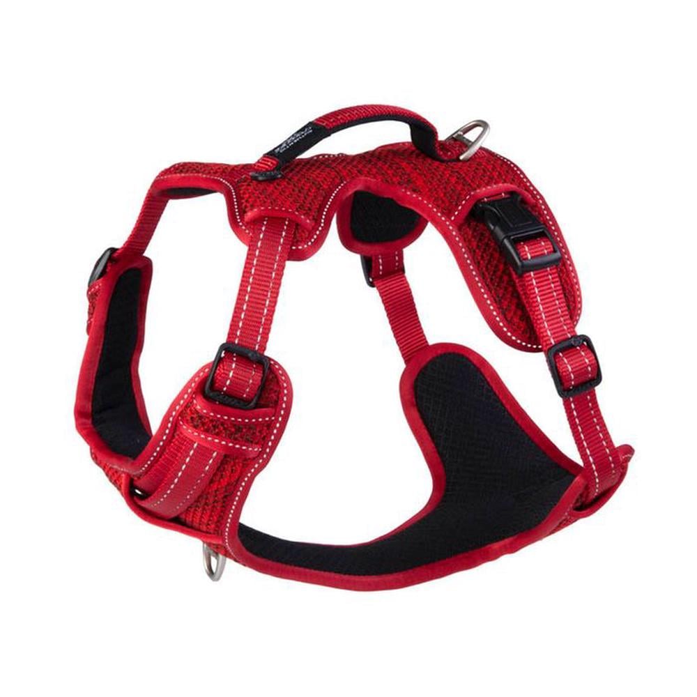 Rogz Specialty Explore Dog Harness (Red) - Large | Buy online at The Nile