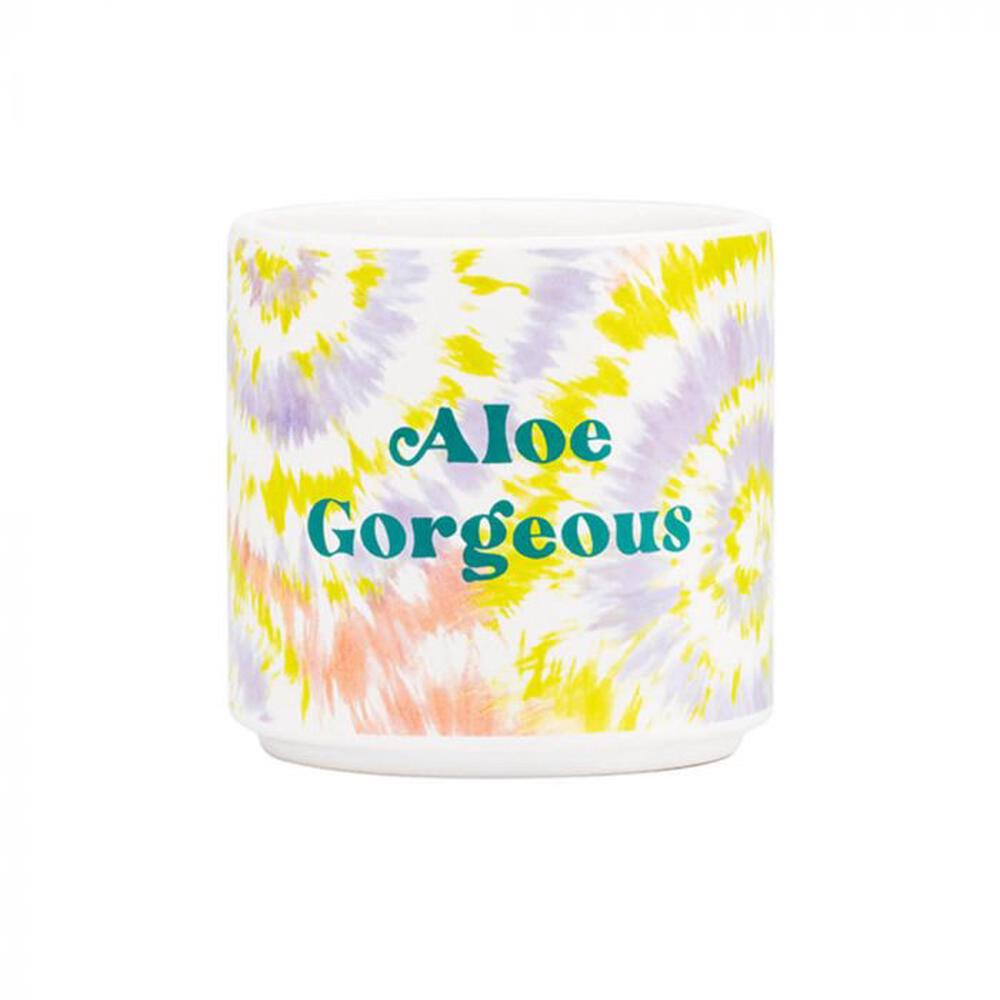 Aloe Gorgeous Tie Dye Planter, 0672649151179