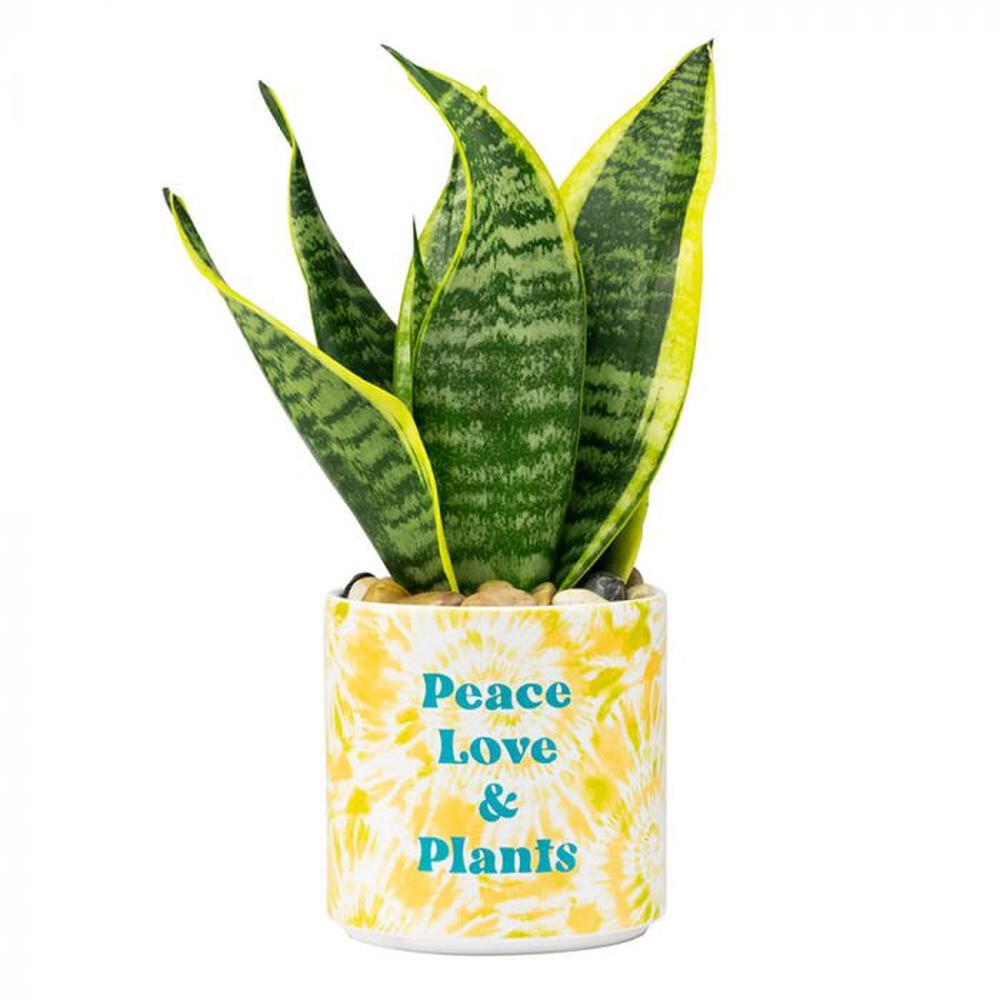 Peace Love & Plants Tie Dye Planter, 0672649151230