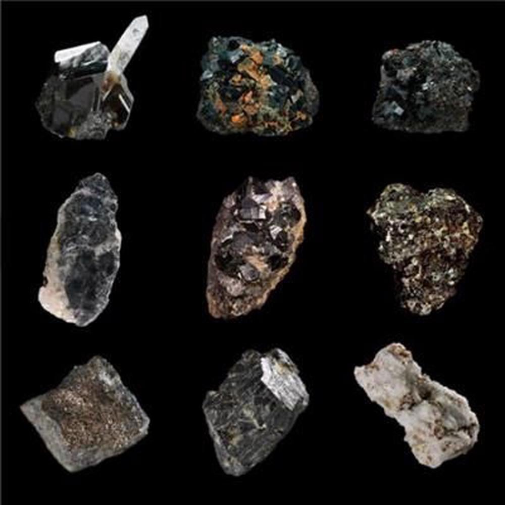 Coltan - ISBN: 0700358474477