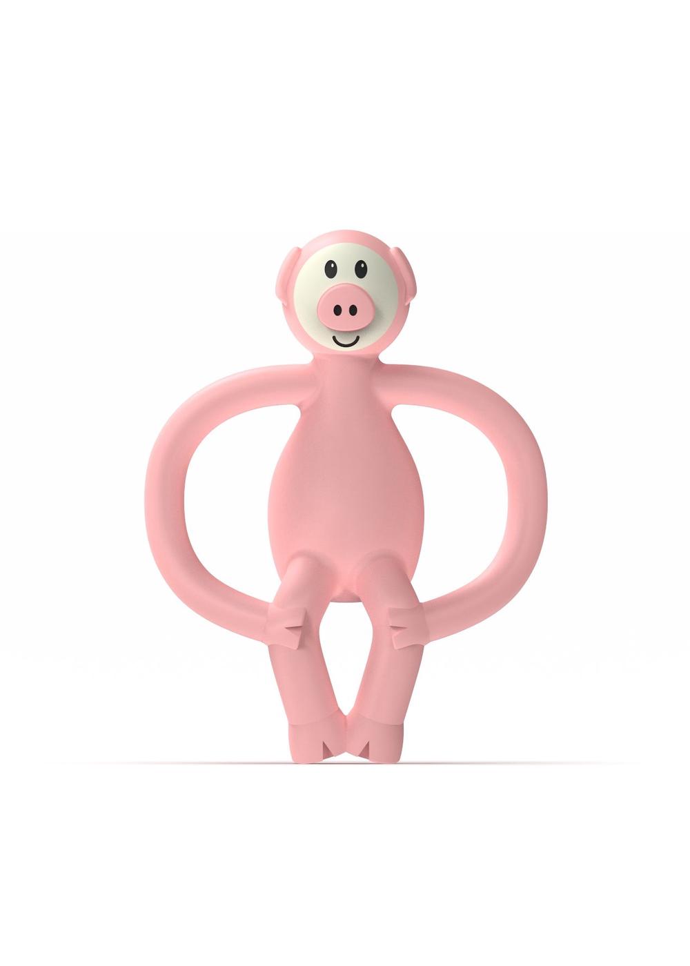 Animal Teether (Pig), 0705604684686