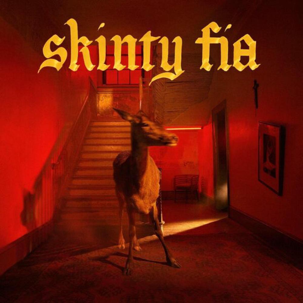 Skinty Fia (LP), 0720841301615
