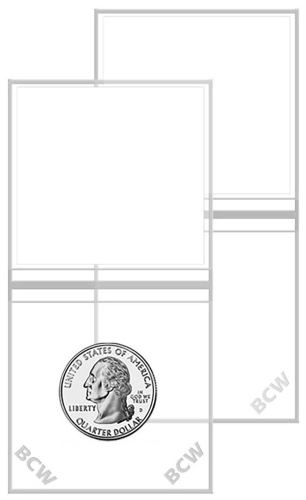 BCW Vinyl Coin Flips Double Pocket Buy online at The Nile