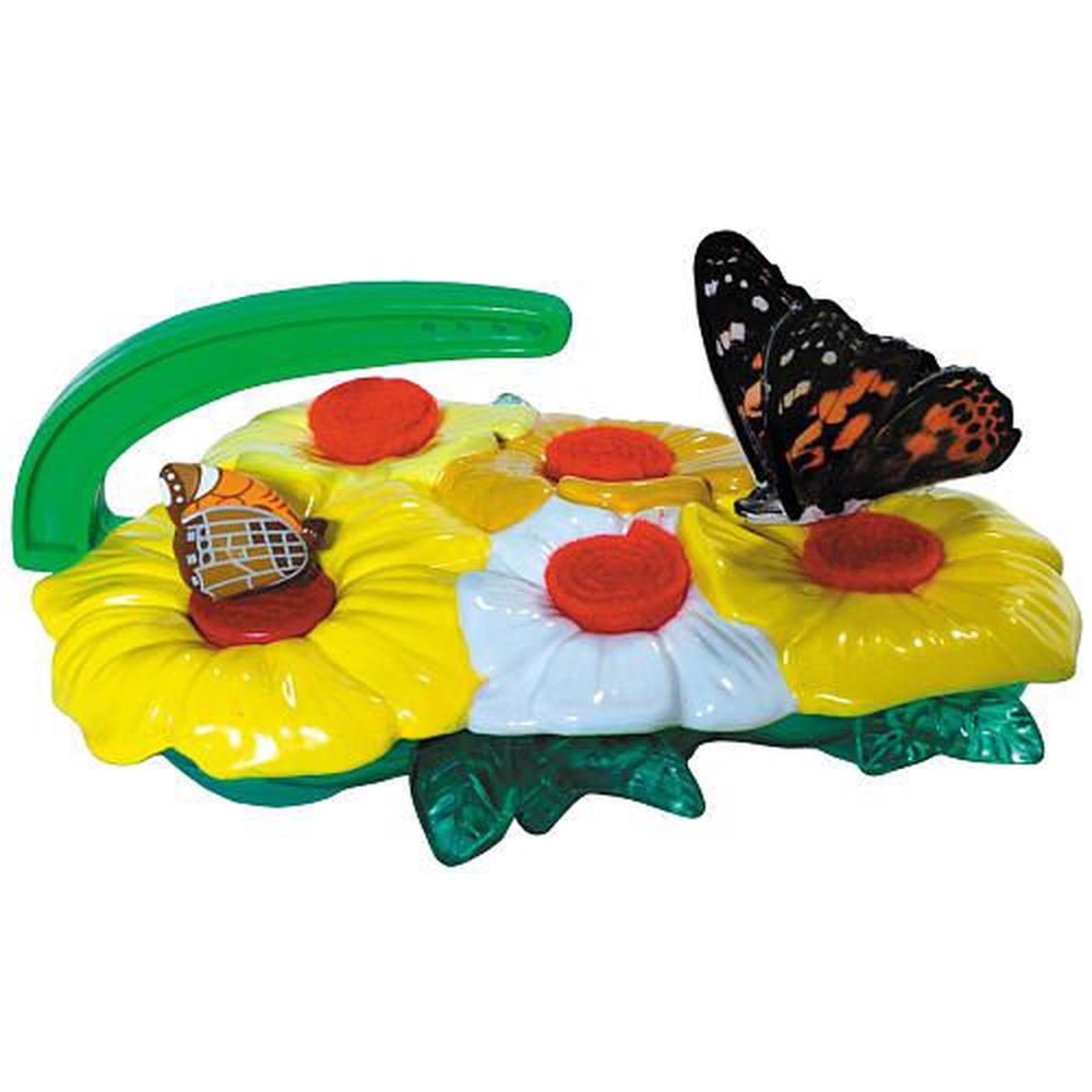 Insect Lore Butterfly Feeder Buy Online At The Nile
