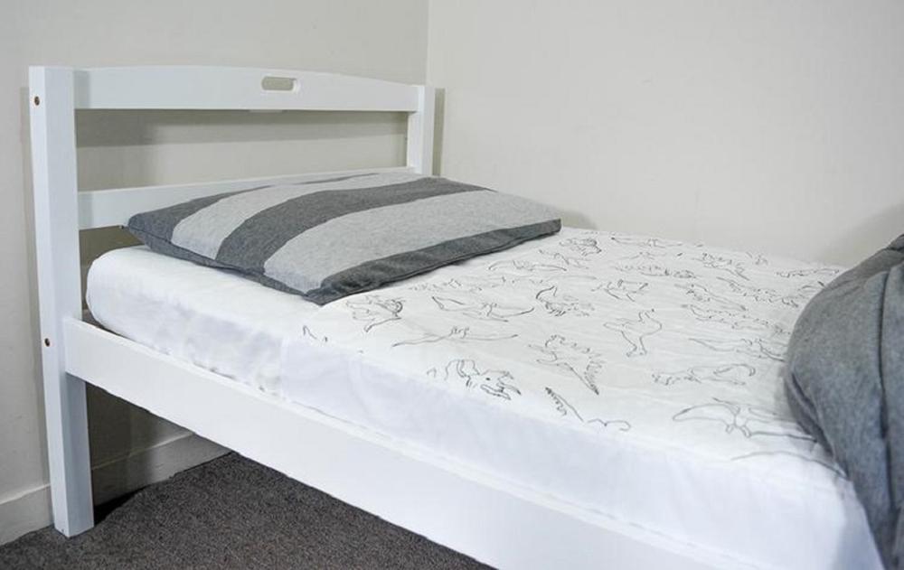 Bed Pad With Wings (Dinosaur), 0735850485966