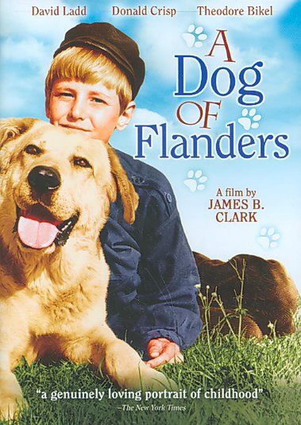 Dog of Flanders - ISBN: 0741952659495