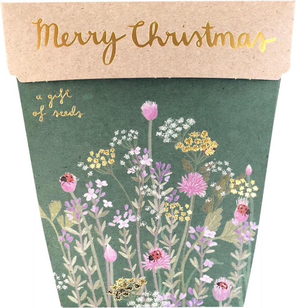 Gift of Seeds (Merry Christmas), 0754523943107